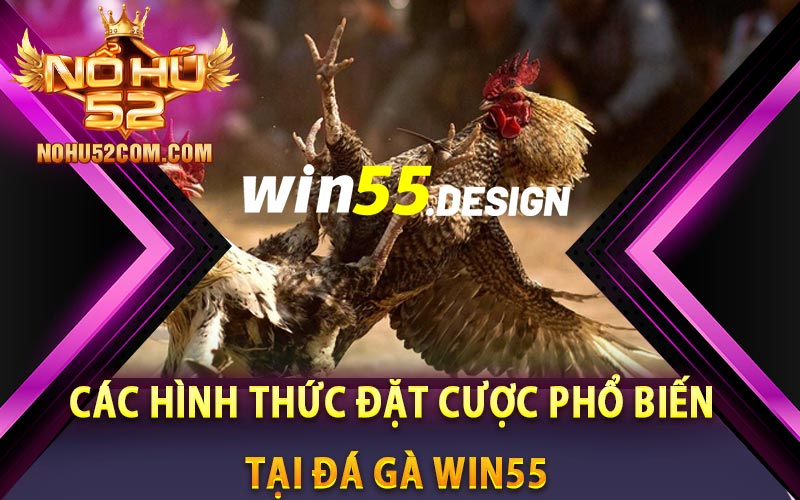 Đá Gà Win55 - Sàn Đấu Chiến Kê Bậc Nhất Việt Nam 8 Các hình thức đặt cược phổ biến tại đá gà Win55