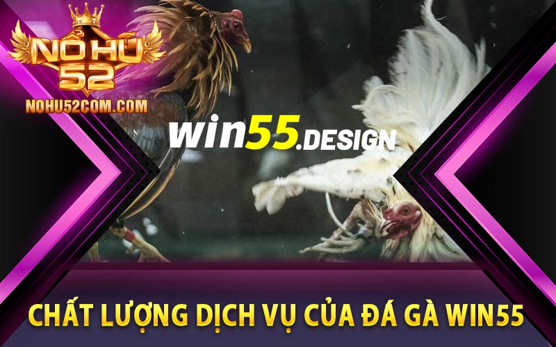 Đá Gà Win55 - Sàn Đấu Chiến Kê Bậc Nhất Việt Nam 7 Đánh giá chất lượng dịch vụ của đá gà Win55