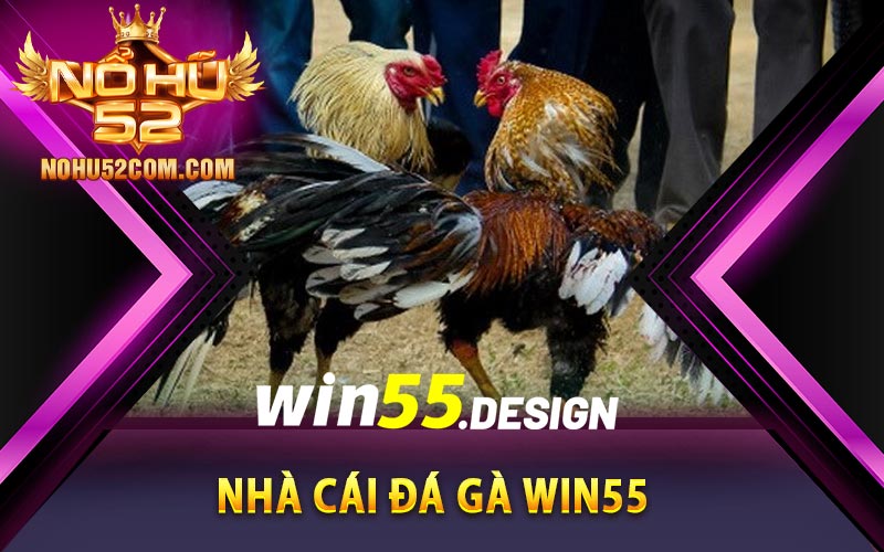 Đá Gà Win55 - Sàn Đấu Chiến Kê Bậc Nhất Việt Nam 6 Nhà cái đá gà Win55