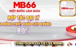 Tổng quan chi tiết về MB66